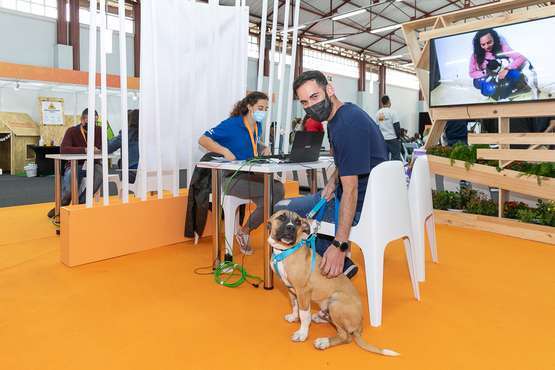 La V edición de Animundo pone el foco en la educación y el cuidado de los animales de compañía/TA.